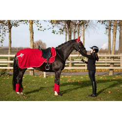 Bandes de polo HFI Velvet Rouge Bandes de polo HFI Velvet Rouge