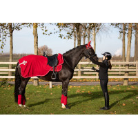 Bonnet HFI Velvet Rouge Bonnet HFI Velvet Rouge