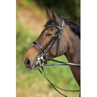 Bride convertible bridon Weymouth HFI Noir / noir