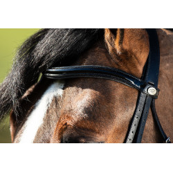 Bride convertible bridon Weymouth HFI Noir / noir Bride convertible bridon Weymouth HFI Noir / noir