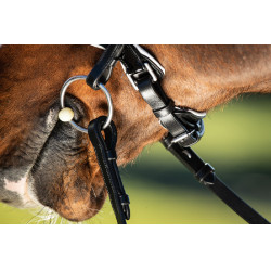 Bride convertible bridon Weymouth HFI Noir / noir Bride convertible bridon Weymouth HFI Noir / noir