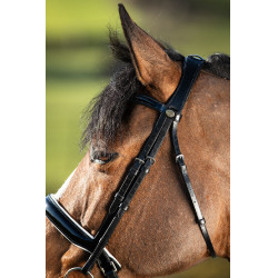 Bride convertible bridon Weymouth HFI Noir / noir Bride convertible bridon Weymouth HFI Noir / noir
