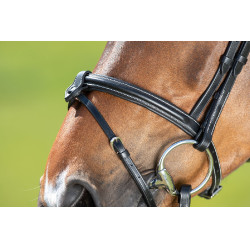 Bridon anatomique HFI Noir Bridon anatomique HFI Noir