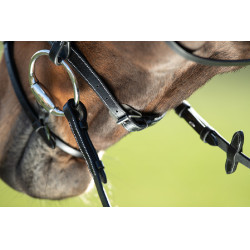 Bridon anatomique HFI Noir Bridon anatomique HFI Noir