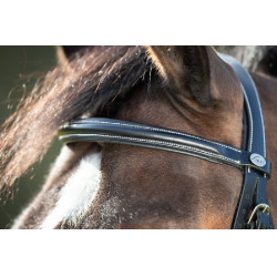 Bridon anatomique HFI Noir Bridon anatomique HFI Noir