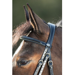 Bridon anatomique HFI Noir Bridon anatomique HFI Noir