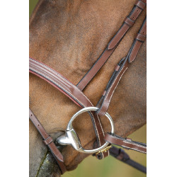 Bridon anatomique HFI Marron Bridon anatomique HFI Marron
