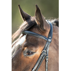 Bridon Comfort HFI Noir Bridon Comfort HFI Noir