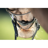 Bridon fonctionnel HFI Noir Bridon fonctionnel HFI Noir