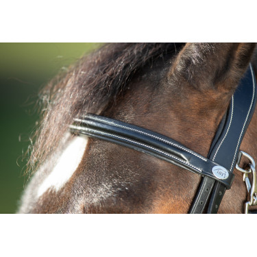 Functioneel hoofdstel HFI Functioneel hoofdstel HFI