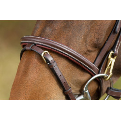 Functioneel hoofdstel HFI Bruin Functioneel hoofdstel HFI Bruin