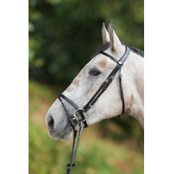 Bridon HFI Regular Noir Bridon HFI Regular Noir