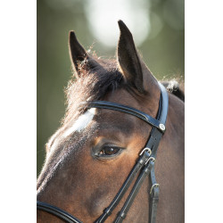 Bridon HFI Regular Noir Bridon HFI Regular Noir