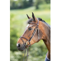 Bridon HFI Regular Marron Bridon HFI Regular Marron
