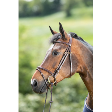 Bridon HFI Regular Marron Bridon HFI Regular Marron