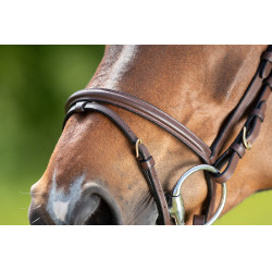 Bridon HFI Regular Marron Bridon HFI Regular Marron