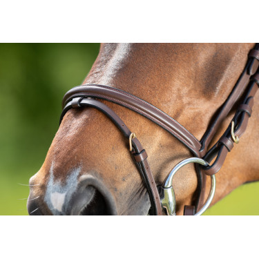Bridon HFI Regular Marron Bridon HFI Regular Marron