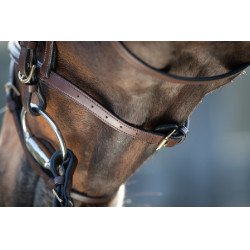 Bridon HFI Regular Marron Bridon HFI Regular Marron