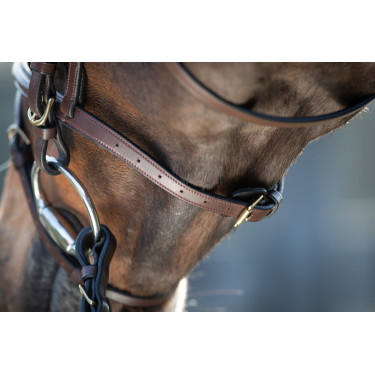 Bridon HFI Regular Marron Bridon HFI Regular Marron