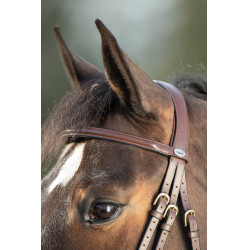 Bridon HFI Regular Marron Bridon HFI Regular Marron