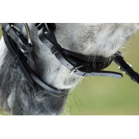 Bridon Luxe HFI Noir Bridon Luxe HFI Noir