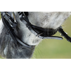 Bridon Luxe HFI Noir Bridon Luxe HFI Noir