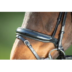 Bridon Shiny HFI Noir Bridon Shiny HFI Noir