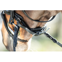 Bridon Shiny HFI Noir Bridon Shiny HFI Noir