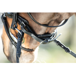 Bridon Shiny HFI Noir Bridon Shiny HFI Noir