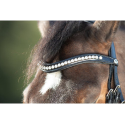 Bridon Shiny HFI Noir Bridon Shiny HFI Noir