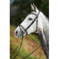 Bridon Sparkly HFI Zwart