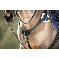 Collier de chasse 5 points HFI Noir