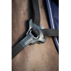 Collier de chasse 5 points HFI Noir Collier de chasse 5 points HFI Noir