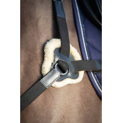 Collier de chasse 5 points HFI Noir Collier de chasse 5 points HFI Noir