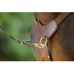 Collier de chasse 5 points HFI Marron