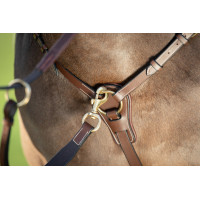 Collier de chasse Long Bridge HFI Noir