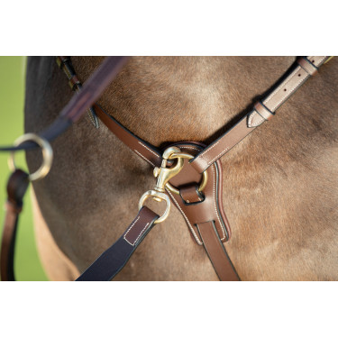 Collier de chasse Long Bridge HFI Marron
