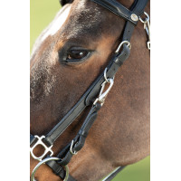 Combinatie Hoofdstel / Halster HFI Zwart Combinatie Hoofdstel / Halster HFI Zwart