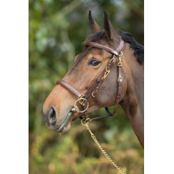 Combo Bridon / Licol HFI Marron