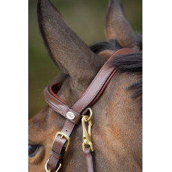 Combinatie Hoofdstel / Halster HFI Bruin