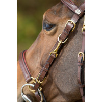 Combo Bridon / Licol HFI Marron Combo Bridon / Licol HFI Marron