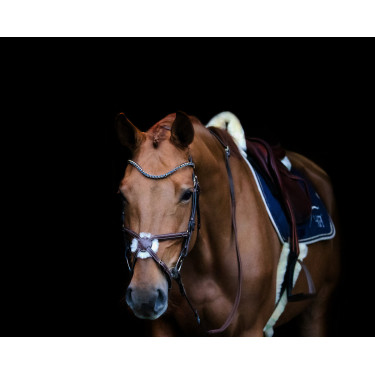 Frontal en V strass HFI Marron / bleu