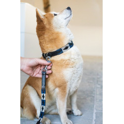 Laisse chien Polo HFI Noir / marine / argenté Motifs