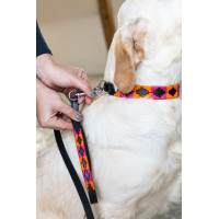 Laisse chien Polo HFI Noir / orange / rose Motifs Laisse chien Polo HFI Noir / orange / rose Motifs
