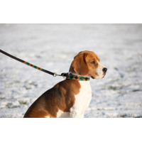 Laisse chien Polo HFI Marron / émeraude / ocre Motifs Laisse chien Polo HFI Marron / émeraude / ocre Motifs