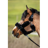 Licol Cosy mouton synthétique HFI Noir Licol Cosy mouton synthétique HFI Noir