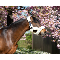 Licol Cosy mouton synthétique HFI Marine / beige Bleu