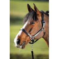Twee-kleurig leren halster HFI Zwart / cognac