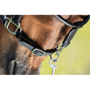 Halster grooming HFI Halster grooming HFI