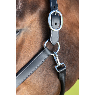 Halster grooming HFI Halster grooming HFI